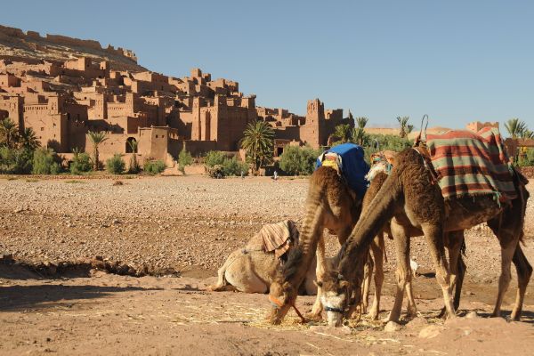 morocco so travel tour